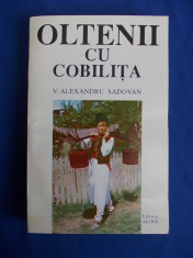 V. ALEXANDRU SADOVAN - OLTENII CU COBILITA ( ROMAN CAPODOPERA ) - 1994 foto