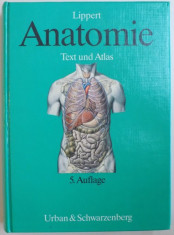 ANATOMIE TEXT UND ATLAS, DEUTSCHE UND LATEINISCHE BEZEICHNUNGEN de HERBERT LIPPERT, VOL. V, 1989 foto