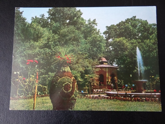 SEPT15 CP RPR - Buzias