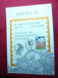 Carton filatelic special cu stampile si Timbru tematica Medicala 1978 Ungaria, Nestampilat
