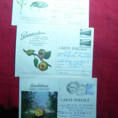 Set 3 Carti Postale speciale tematica Agricultura , cca.1974 ,buletin avertizare