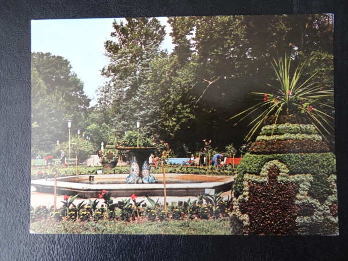 SEPT15 CP RPR - Buzias