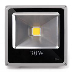 Reflector/Proiector LED 30W ECHIVALENT 300W, 2700Lumeni, IP66, 220V, Alb foto