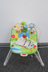 Scaunel copii Green Garden Bouncer Fisher Price (120) foto