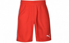 LICHIDARE DE STOC! Pantaloni scurti barbati Puma Power Cat Red originali foto