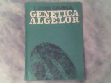 Genetica algelor-Lucian Gavrila