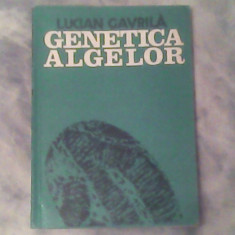 Genetica algelor-Lucian Gavrila