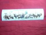Serie-Straif - Fauna - Zimbri 1981 Polonia , 5 val.
