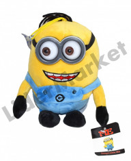 Minion Despicable Me din plus cu ochi 3D 20 x 14 cm foto