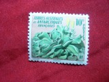 Serie Flora 1958 Terre Australes et Antarctique , 1 val., Nestampilat