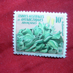 Serie Flora 1958 Terre Australes et Antarctique , 1 val.
