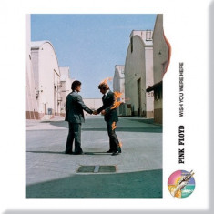 Magnet Pink Floyd - Wish you were here Shake foto