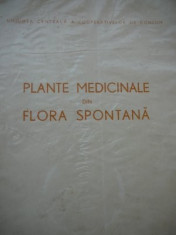 Plante medicinale din flora spontana - Corneliu Constantinescu , Artin Agopian foto