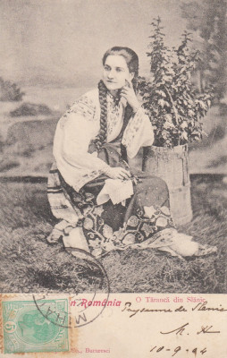 SALUTARI DIN ROMANIA , O TARANCA DIN SLANIC , PORT POPULAR , TCV , CIRC. 1904 foto