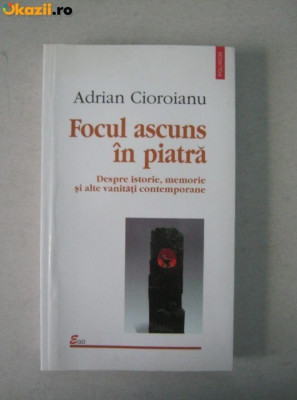 e3 Adrian Cioroianu - Focul ascuns in piatra (Editura Polirom , 2002) foto