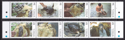 Tonga 2013 fauna marina testoase MI 1860-67 2 streif MNH w25 foto