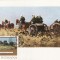 4075 - Romania 1977 - carte maxima