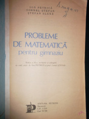 I. Petrica, Probleme de matematica pentru gimnaziu foto