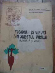 Podgorii Si Vinuri Din Judetul Vaslui Altadata Si Acum - Avram D.tudose Constantin Neamtu ,529507 foto