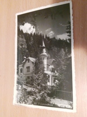 TUSNAD BAI - VILA LILY foto