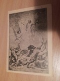 NASAUD - FELDRU