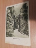 DEFILEUL BISTRITA
