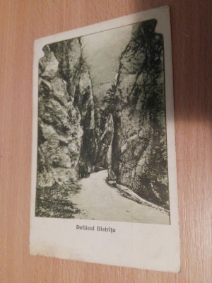 DEFILEUL BISTRITA foto