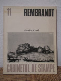 REMBRANDT-AMELIA PAVEL