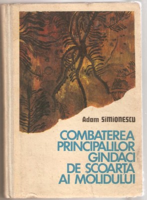 A.Simionescu-Combaterea principalilor gindaci de scoarta ai molidului foto