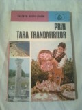 PRIN TARA TRANDAFIRILOR ~ VALENTIN HOSSU-LONGIN