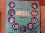 Solistii ansamblului artistic Muresul Targu Mures disc vinyl lp muzica populara, VINIL, Electrecord