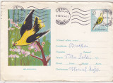 Bnk fil Intreg postal circulat 1961 - Grangurul