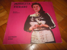 XXX DISC VINIL PANSELUTA FIERARU foto