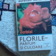 FLORILE-PARFUM SI CULOARE
