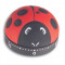 Timer de bucatarie LADY BUG 60min