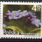 POLONIA 2010, Flora, serie neuzata, MNH
