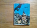 MUZEUL PELES - Sinaia, 1974 - album