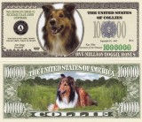 USA 1 Million Dollars UNC Caine Collie