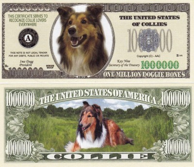 USA 1 Million Dollars UNC Caine Collie foto