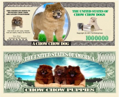 USA 1 Million Dollars UNC Caine Chow chow foto