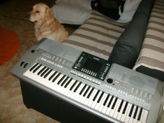 Orga Yamaha PSR-S710 noua Germania foto