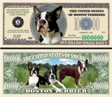 USA 1 Million Dollars UNC Caine Boston Terrier