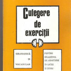 Rodica Ligia Serban-Culegere de exercitii-gramatica si vocabular