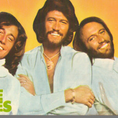 CPI (B6772) CARTE POSTALA - FORMATIA BEE GEES