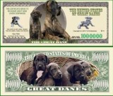 USA 1 Million Dollars UNC Dog Danez