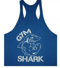 MAIEU MAIOU M GOLD S GYM / SHARK GYM - FITNESS ALERGARI foto