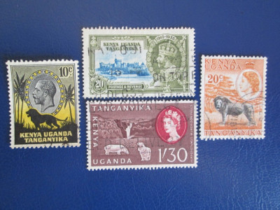 TIMBRE STRAINE KENYA UGADA foto