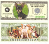 USA 1 Million Dollars Caine Chihuahua UNC