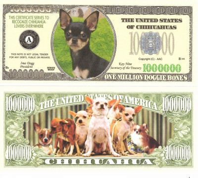 USA 1 Million Dollars Caine Chihuahua UNC foto