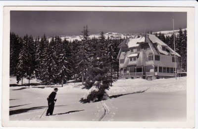 CARTE POSTALA HARGHITA MUNTII CIUCULUI CABANA foto
